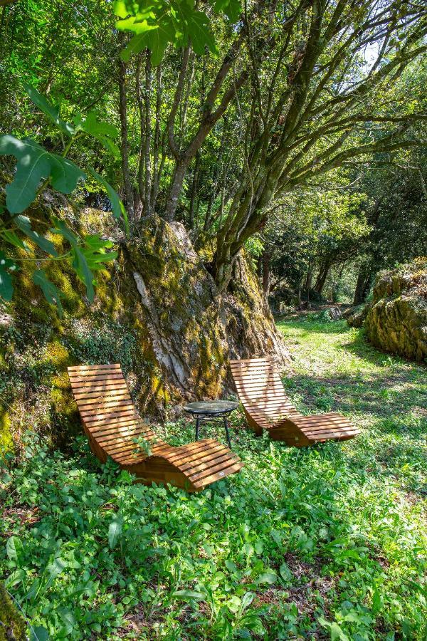 Vibe Luxury Cabins Арнуеро Екстериор снимка